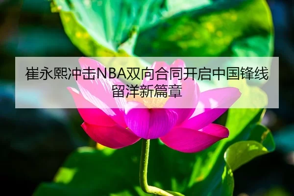 崔永熙冲击NBA双向合同开启中国锋线留洋新篇章