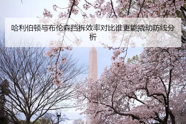 哈利伯顿与布伦森挡拆效率对比谁更能撬动防线分析