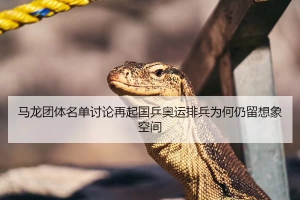 马龙团体名单讨论再起国乒奥运排兵为何仍留想象空间