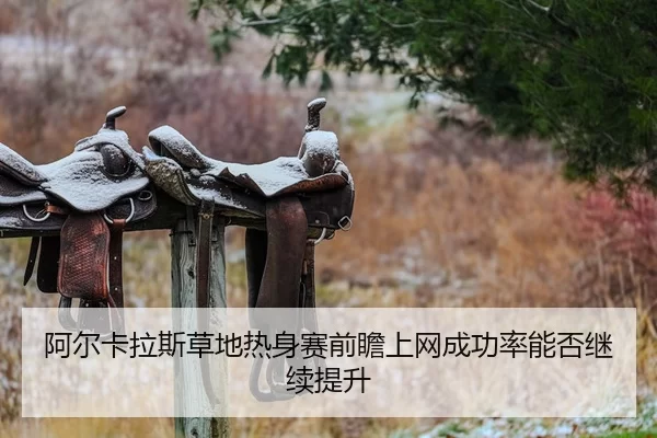 a-er-ka-la-si-cao-di-re-shen-sai-qian-zhan-shang-wang-cheng-gong-lv-neng-fou-ji-xu-ti-sheng-2-315.jpg