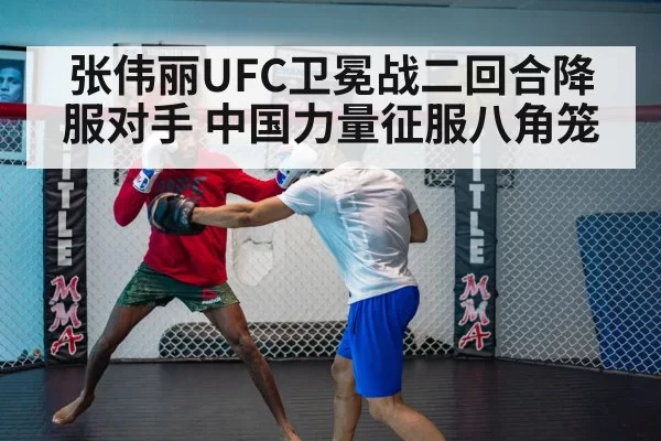 UFC fight
